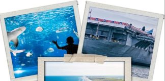 20 Best Things to Do in Corpus Christi Best Things to Do in Corpus Christi