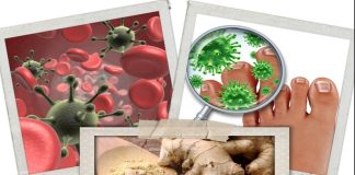 12 Health Benefits of Ginger 12 Health Benefits of Ginger