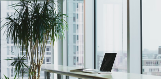 The Importance of Business Cleaning Services: Keeping Your Workplace Pristine Business Cleaning Services