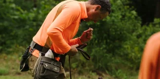 Dog Aggression Trainers in Phoenix AZ Expert Help That Works